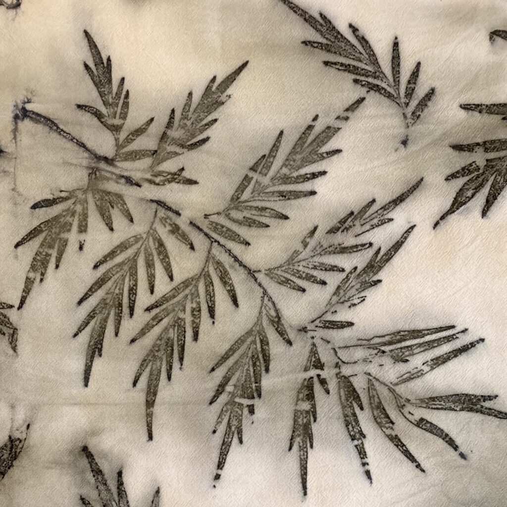 Botanical dyeing with leaves of the Grevillea Robusta tree or Australian Oak