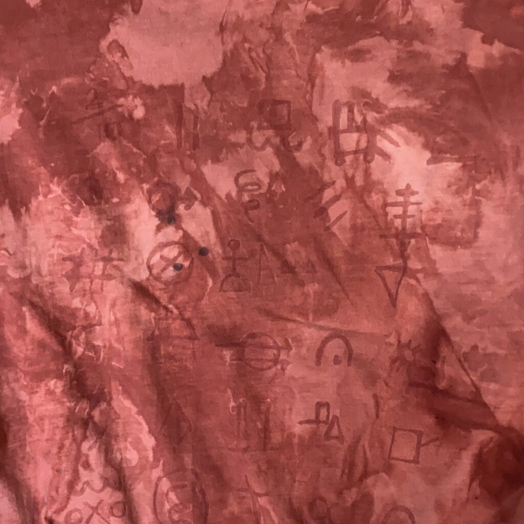 custom project natural dyed tshirt with handrawn hobo language icons for boyfriend