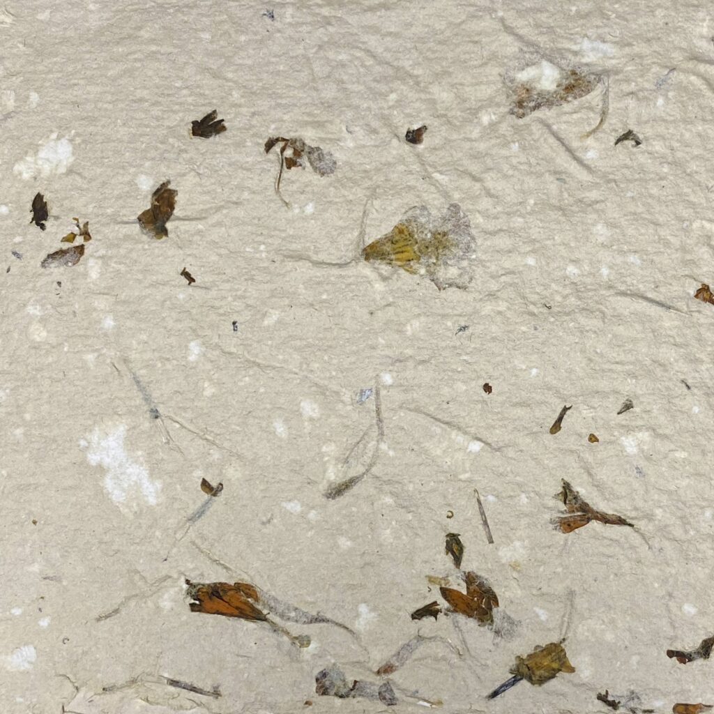 Handmade recycled paper tinted with marigold petals from Día de los Muertos offerings